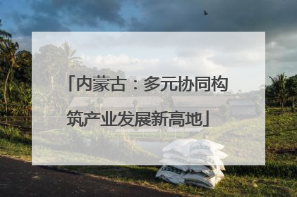 内蒙古：多元协同构筑产业发展新高地