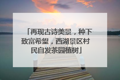 再现古诗美景，种下致富希望，西湖景区村民自发茶园植树