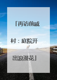 再访前戚村：庭院开出浪漫花