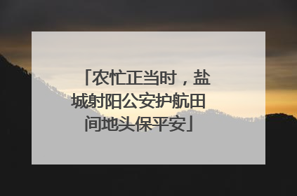 农忙正当时，盐城射阳公安护航田间地头保平安