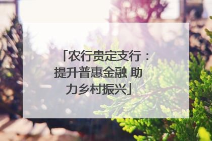 农行贵定支行：提升普惠金融 助力乡村振兴