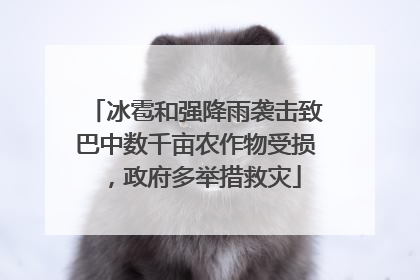 冰雹和强降雨袭击致巴中数千亩农作物受损，政府多举措救灾