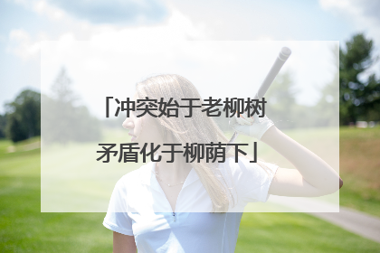 冲突始于老柳树 矛盾化于柳荫下