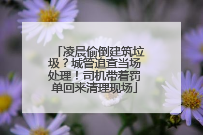 凌晨偷倒建筑垃圾？城管追查当场处理！司机带着罚单回来清理现场