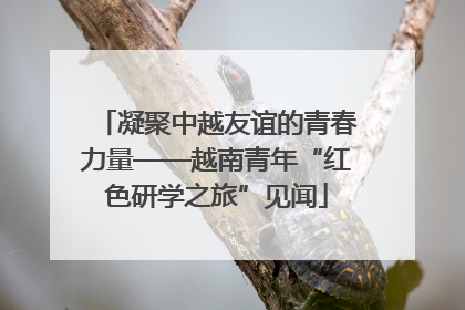 凝聚中越友谊的青春力量——越南青年“红色研学之旅”见闻