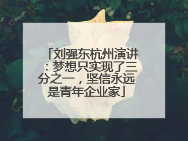 刘强东杭州演讲：梦想只实现了三分之一，坚信永远是青年企业家