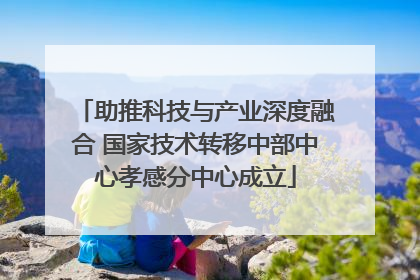 助推科技与产业深度融合 国家技术转移中部中心孝感分中心成立