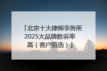 北京十大律师事务所2025大品牌胜诉率高（客户首选）