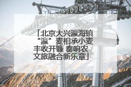 北京大兴瀛海镇“瀛”麦相承小麦丰收开镰 奏响农文旅融合新乐章