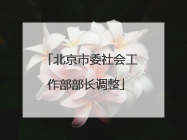 北京市委社会工作部部长调整