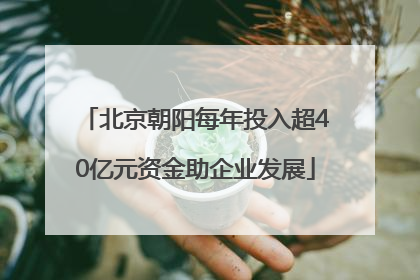北京朝阳每年投入超40亿元资金助企业发展