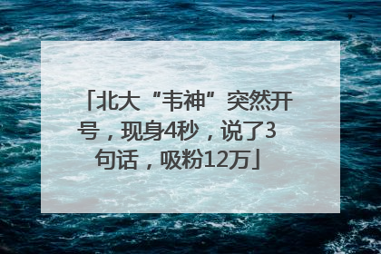 北大“韦神”突然开号，现身4秒，说了3句话，吸粉12万