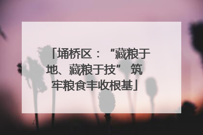 埇桥区：“藏粮于地、藏粮于技” 筑牢粮食丰收根基