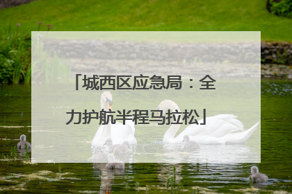城西区应急局：全力护航半程马拉松