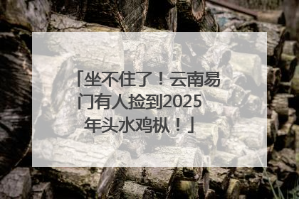 坐不住了！云南易门有人捡到2025年头水鸡枞！