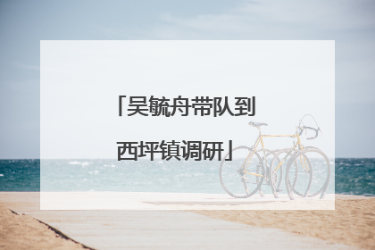 吴毓舟带队到西坪镇调研