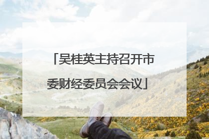 吴桂英主持召开市委财经委员会会议