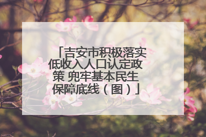 吉安市积极落实低收入人口认定政策 兜牢基本民生保障底线（图）