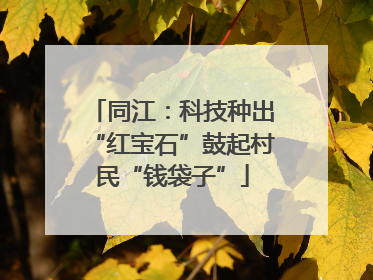 同江：科技种出“红宝石”鼓起村民“钱袋子”