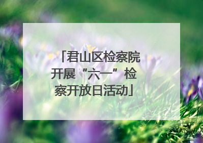 君山区检察院开展“六一”检察开放日活动
