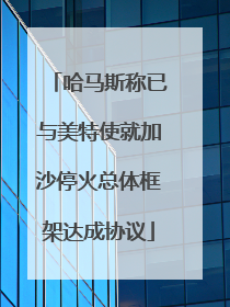 哈马斯称已与美特使就加沙停火总体框架达成协议