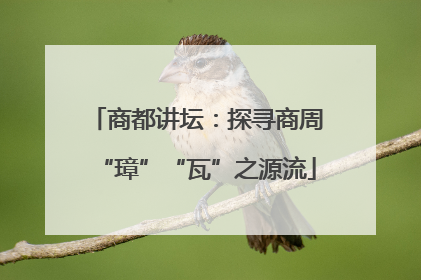 商都讲坛：探寻商周“璋”“瓦”之源流