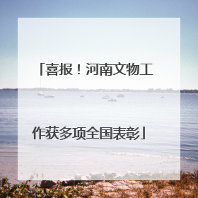 喜报！河南文物工作获多项全国表彰