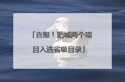 喜报！肥城两个项目入选省级目录