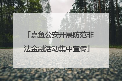 嘉鱼公安开展防范非法金融活动集中宣传