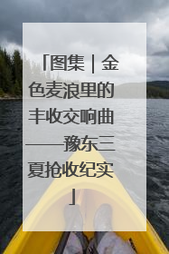 图集｜金色麦浪里的丰收交响曲——豫东三夏抢收纪实