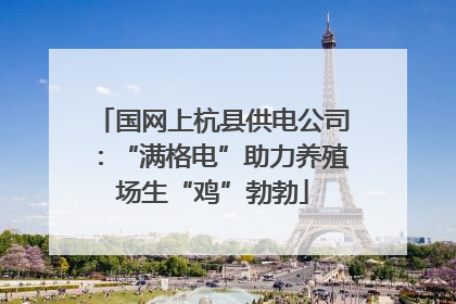 国网上杭县供电公司：“满格电”助力养殖场生“鸡”勃勃