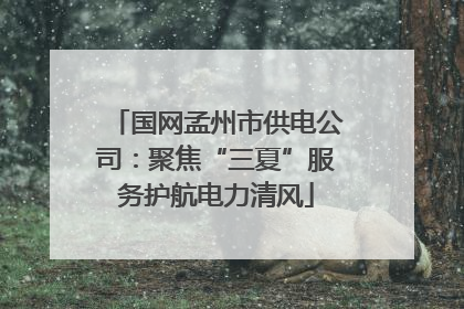 国网孟州市供电公司：聚焦“三夏”服务护航电力清风