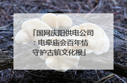 国网庆阳供电公司：电牵庙会百年情 守护古镇文化根