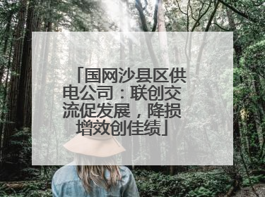 国网沙县区供电公司：联创交流促发展，降损增效创佳绩