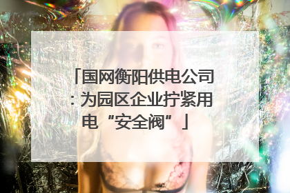 国网衡阳供电公司：为园区企业拧紧用电“安全阀”