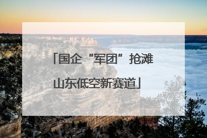国企“军团”抢滩山东低空新赛道