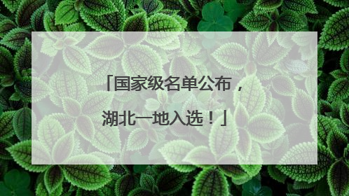 国家级名单公布，湖北一地入选！