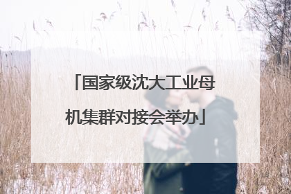 国家级沈大工业母机集群对接会举办