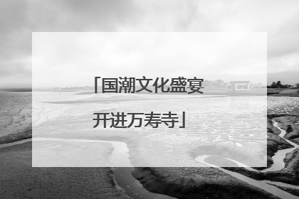 国潮文化盛宴开进万寿寺