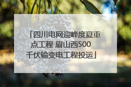 四川电网迎峰度夏重点工程 眉山西500千伏输变电工程投运