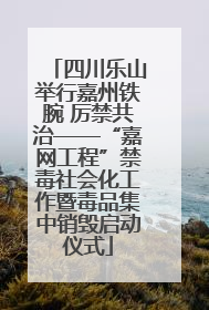 四川乐山举行嘉州铁腕 厉禁共治——“嘉网工程”禁毒社会化工作暨毒品集中销毁启动仪式