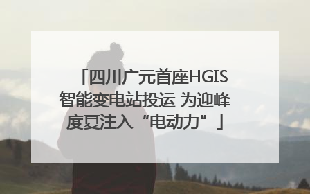 四川广元首座HGIS智能变电站投运 为迎峰度夏注入“电动力”