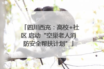 四川西充：高校+社区 启动“空巢老人消防安全帮扶计划”