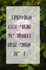 四川邻水县以“优服务”助项目建设“加速度”