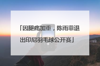 因腿痛加重，陈雨菲退出印尼羽毛球公开赛