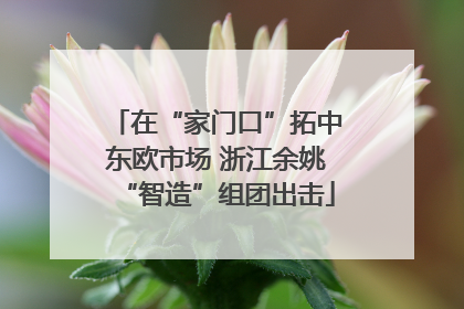 在“家门口”拓中东欧市场 浙江余姚“智造”组团出击