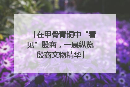 在甲骨青铜中“看见”殷商，一展纵览殷商文物精华