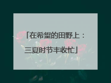 在希望的田野上：三夏时节丰收忙