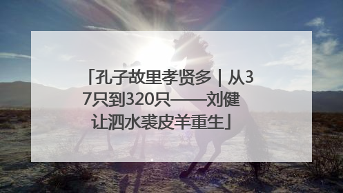 孔子故里孝贤多｜从37只到320只——刘健让泗水裘皮羊重生