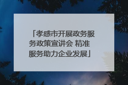 孝感市开展政务服务政策宣讲会 精准服务助力企业发展